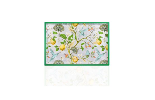 Khay chữ nhật chim ruồi chanh - KHAY02010088