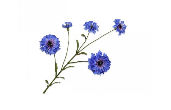 Hoa ngô xanh dương đậm 75cm 139807S