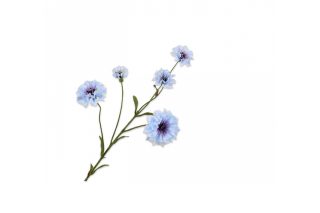 Hoa ngô xanh dương nhạt 75cm 139808S