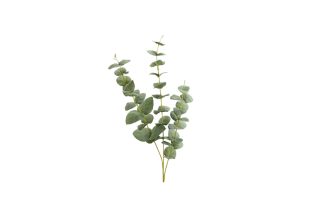 Cành lá Eucalyptus Gundal H70VE 146884C