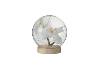 Quả cầu Bel Jar cỡ trung 20136J