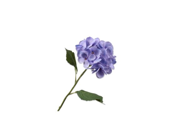 Cành hoa Cẩm tú cầu tím 144930S