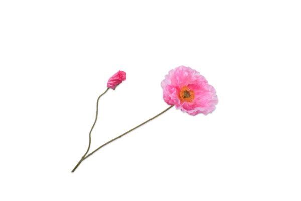 Cành hoa Anh túc hồng