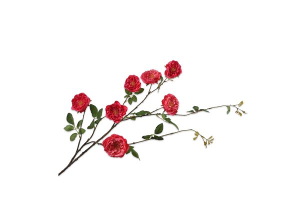 Cành hoa hồng H116