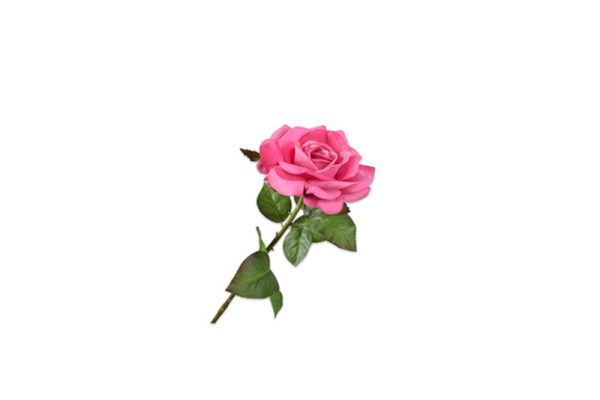 Cành hoa hồng 145018S