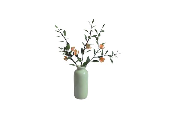 Cành hoa hàm tiếu