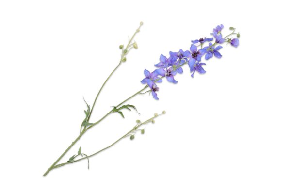 Cành hoa Delphinium Spray