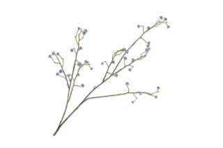 Cành hoa Gypsophila màu xanh