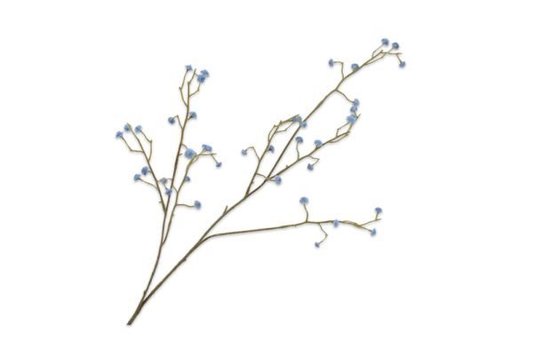 Cành hoa Gypsophila màu xanh