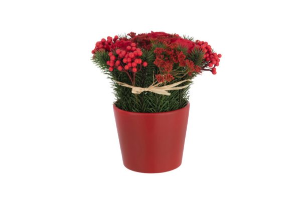 Chậu hoa hồng trang trí