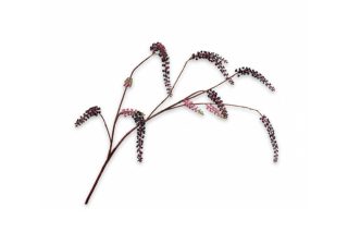 Cành hoa Berry màu tím trang trí