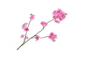 Cành hoa Blossom hồng LT 109418S