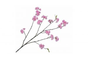 Cành hoa Blossom màu hồng 132247S