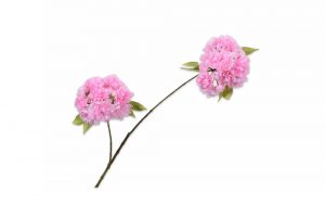 Cành hoa Blossom màu hồng LT 138206S