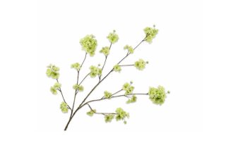 Cành hoa Blossom màu xanh lá 139754S