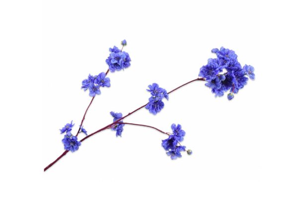 Cành hoa Blossom PRP LT 136665S