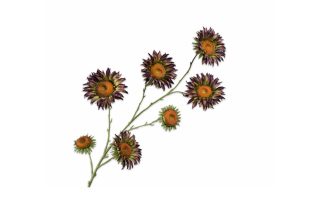 Cành hoa hướng dương LAV/GRN 140572S