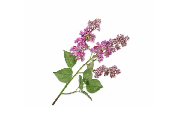 Cành hoa Lilac màu hồng 139049S