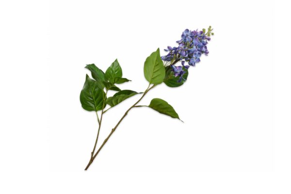 Cành hoa Lilac trang trí