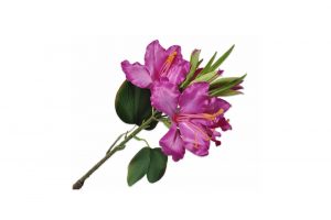 Cành hoa Lily màu tím 131051S