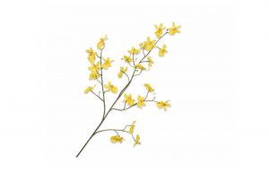 Cành hoa Orchid màu vàng 139712S