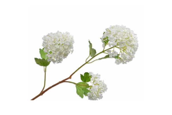 Cành hoa Snowball màu trắng 123374S