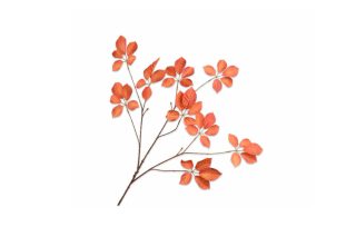 Cành lá màu cam