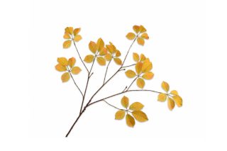 Cành lá màu vàng trang trí