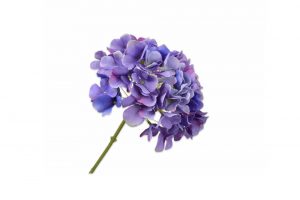 Hoa cẩm tú cầu Stem BL/WHT 139402S
