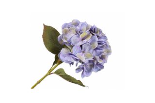 Hoa cẩm tú cầu Stem Lavend 135856S