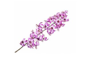 Hoa Lily Stem LAV/CR 136382S