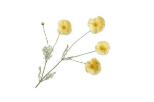 Cành hoa Cosmos màu vàng 92cm