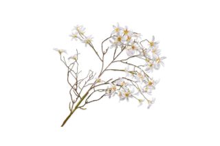 Cành hoa Forsythia màu trắng 101cm