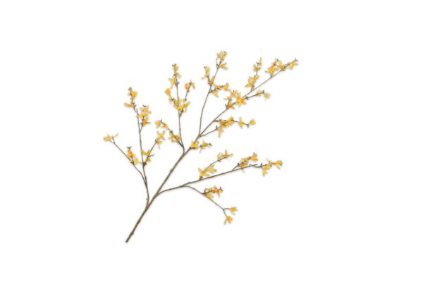 Cành hoa Forsythia màu vàng 120cm
