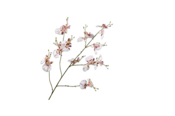 Cành hoa Orchid WH/PRP 91cm