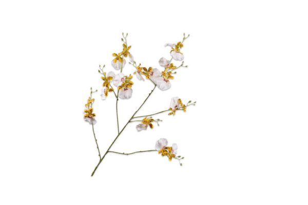 Cành hoa Orchid trắng vàng 91cm
