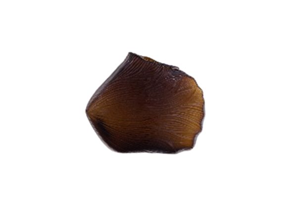 Bình Trang Trí AD20070 SM