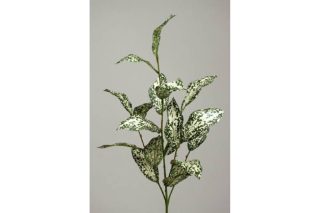 Cành lá codiaeum 79cm 983290v