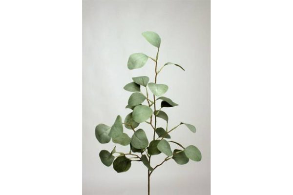 Cành lá eucalyptus gr 89cm 980790v