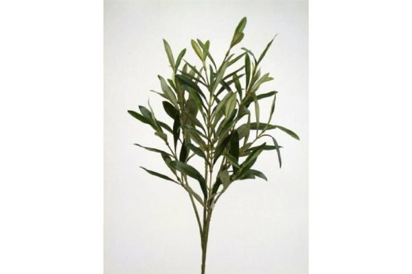 Cành lá olive gr 54cm 95810v