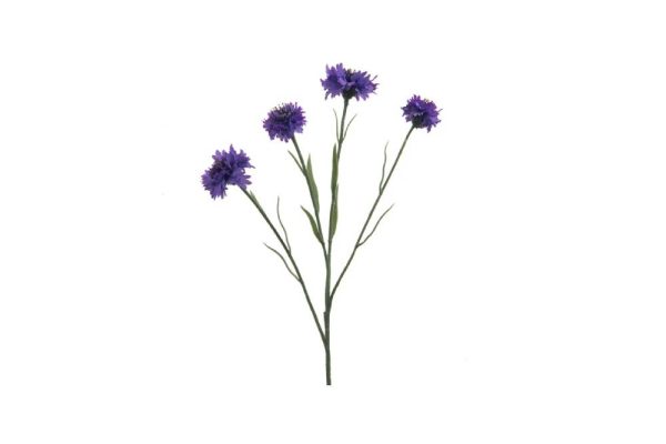 Cành hoa bleuet 61cm purp 164313c