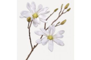 Cành hoa magnolia white 70 151064s