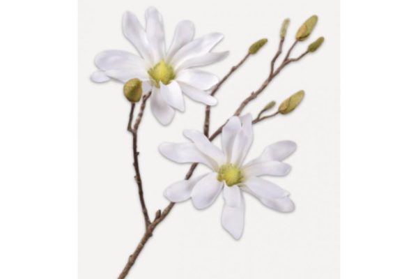 Cành hoa magnolia white 70 151064s