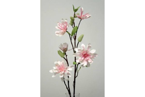 Cành hoa magnolia cream 70cm 971020v