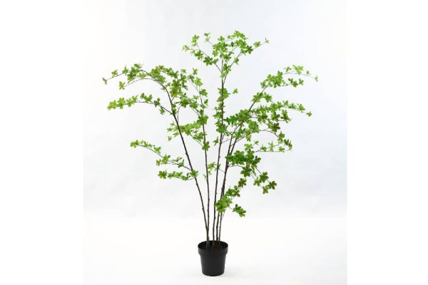Cây plant green 180cm 150492s