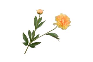 Cành hoa peony 65cm 149332s