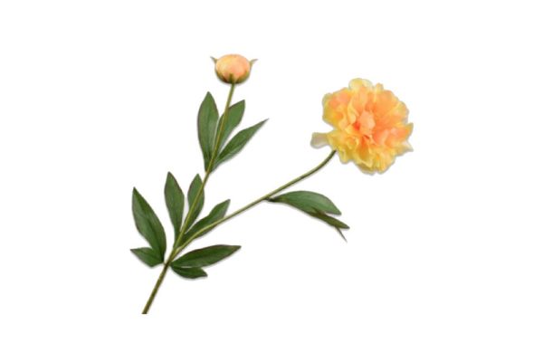 Cành hoa peony 65cm 149332s