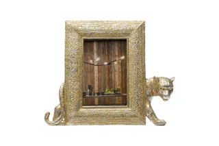 Khung hình Leopard nghệ thuật