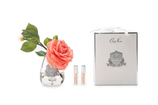 Hoa Tinh Dầu Tea Rose White Peach