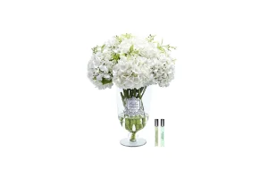 Hoa Tinh Dầu Grand Summer Hydrangeas White